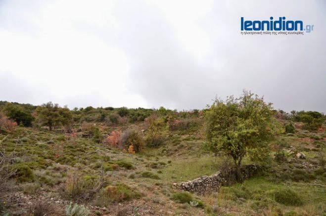 Με φυτοφάρμακο έδωσε τέλος στη ζωή του ο 67χρονος στη Βασκίνα Λεωνιδίου;