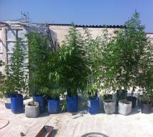 &Pi;ά&nu;&omega; &alpha;&pi;ό &mu;&iota;&sigma;ό &kappa;&iota;&lambda;ό &nu;&alpha;&rho;&kappa;&omega;&tau;&iota;&kappa;ά &epsilon;&nu;&tau;ό&pi;&iota;&sigma;&epsilon; &eta; &Alpha;&sigma;&tau;&upsilon;&nu;&omicron;&mu;ί&alpha; &sigma;&tau;&eta;&nu; &Kappa;ό&rho;&iota;&nu;&theta;&omicron;!