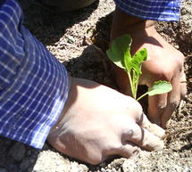 &Alpha;&nu;&alpha;&delta;ά&sigma;&omega;&sigma;&eta; &tau;&omicron; &pi;&rho;&omega;ί &tau;&omicron;&upsilon; &Sigma;&alpha;&beta;&beta;ά&tau;&omicron;&upsilon; &sigma;&tau;&eta;&nu; &Alpha;&sigma;έ&alpha;