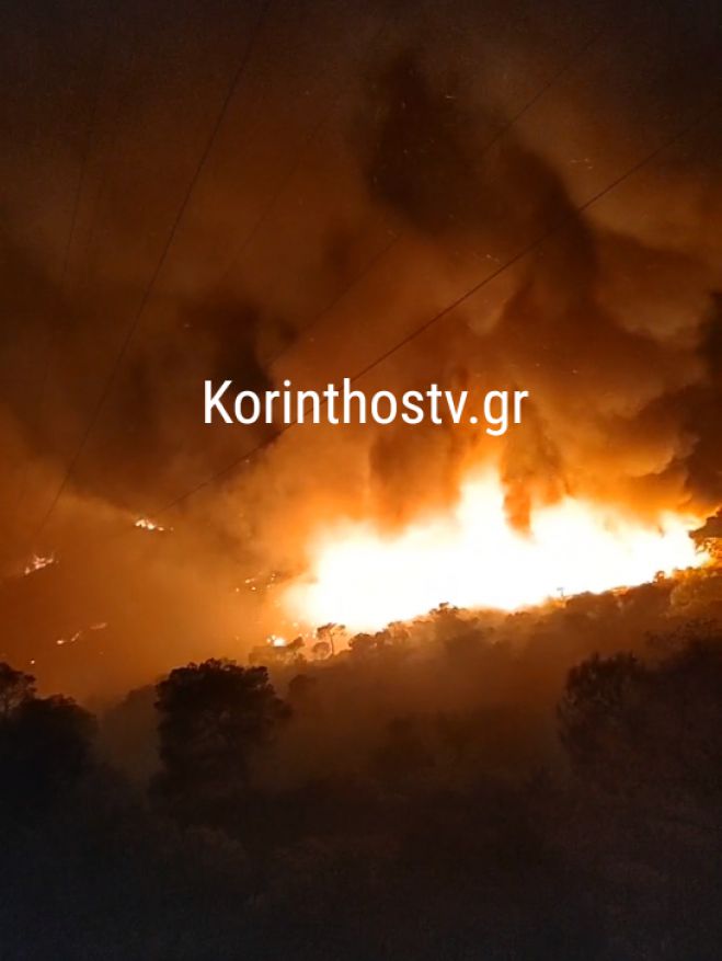 &Omicron;&lambda;&omicron;&nu;ύ&chi;&tau;&iota;&alpha; &mu;ά&chi;&eta; &mu;&epsilon; &tau;&eta; &phi;&omega;&tau;&iota;ά &sigma;&tau;&omicron; &Sigma;&omicron;&upsilon;&sigma;ά&kappa;&iota; &Alpha;&gamma;ί&omega;&nu; &Theta;&epsilon;&omicron;&delta;ώ&rho;&omega;&nu; (vd)