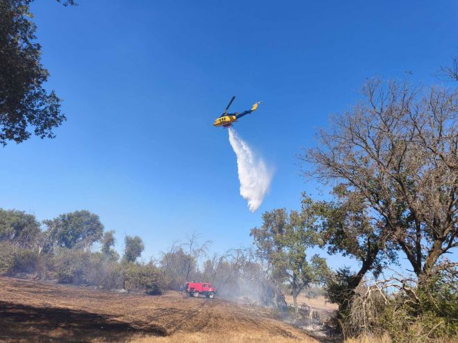 &Upsilon;&pi;ό &pi;&lambda;ή&rho;&eta; έ&lambda;&epsilon;&gamma;&chi;&omicron; &eta; &phi;&omega;&tau;&iota;ά &sigma;&tau;&eta; &Lambda;&iota;&omicron;&delta;ώ&rho;&alpha; &Gamma;&omicron;&rho;&tau;&upsilon;&nu;ί&alpha;&sigmaf; (&epsilon;&iota;&kappa;ό&nu;&epsilon;&sigmaf; - &beta;ί&nu;&tau;&epsilon;&omicron;)