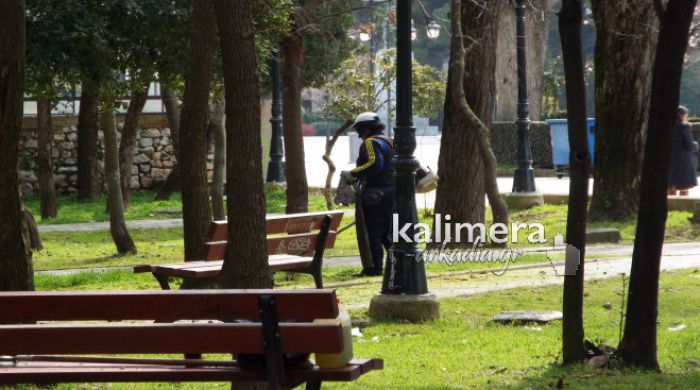 &Sigma;&upsilon;&nu;&epsilon;&rho;&gamma;&epsilon;ί&alpha; &tau;&omicron;&upsilon; &Delta;ή&mu;&omicron;&upsilon; &kappa;&alpha;&theta;ά&rho;&iota;&sigma;&alpha;&nu; &pi;ά&rho;&kappa;&alpha; &sigma;&tau;&eta;&nu; &Tau;&rho;ί&pi;&omicron;&lambda;&eta;! (&epsilon;&iota;&kappa;ό&nu;&epsilon;&sigmaf;)