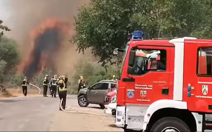 Πύρινες φλόγες στο Νεοχώρι Γορτυνίας - Ισχυρός άνεμος στην περιοχή - Εντολή εκκένωσης στο χωριό (vd)