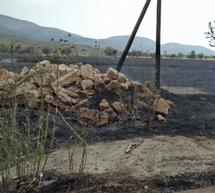 Σβήστηκε η φωτιά στην Ασέα λίγο πριν απειληθούν σπίτια... (εικόνες)