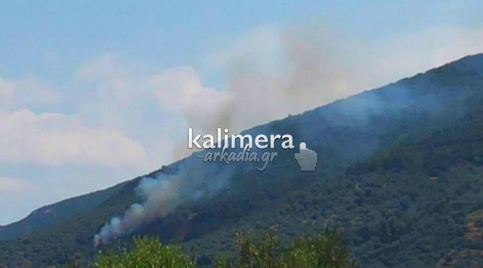 Υπό μερικό έλεγχο η φωτιά στα κάτω Δολιανά (εικόνες)