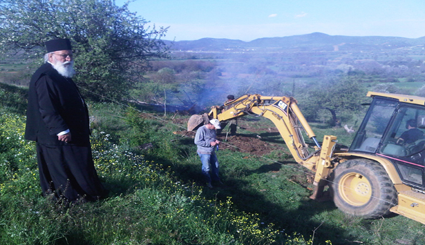 &Nu;έ&alpha; &delta;&epsilon;&nu;&delta;&rho;&omicron;&phi;ύ&tau;&epsilon;&upsilon;&sigma;&eta; &sigma;&epsilon; &kappa;&alpha;&mu;έ&nu;&eta; έ&kappa;&tau;&alpha;&sigma;&eta; &sigma;&tau;&omicron; &chi;&omega;&rho;&iota;ό &Pi;ά&pi;&alpha;&rho;&eta; (&epsilon;&iota;&kappa;ό&nu;&epsilon;&sigmaf;)