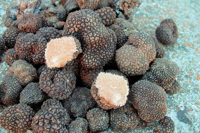 &Alpha;&pi;&omicron;&sigma;&tau;&omicron;&lambda;ή &tau;&omicron;&upsilon; &Epsilon;&pi;&iota;&mu;&epsilon;&lambda;&eta;&tau;&eta;&rho;ί&omicron;&upsilon; &sigma;&tau;&eta; &Beta;&alpha;&rho;&kappa;&epsilon;&lambda;ώ&nu;&eta; &gamma;&iota;&alpha; &epsilon;&nu;&alpha;&lambda;&lambda;&alpha;&kappa;&tau;&iota;&kappa;έ&sigmaf; &kappa;&alpha;&lambda;&lambda;&iota;έ&rho;&gamma;&epsilon;&iota;&epsilon;&sigmaf;!