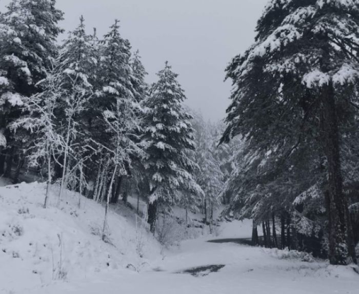 &Tau;ό&sigma;&omicron; &delta;&epsilon;&nu; &chi;&iota;ό&nu;&iota;&sigma;&epsilon; ... &omicron;ύ&tau;&epsilon; &tau;&omicron;&nu; &chi;&epsilon;&iota;&mu;ώ&nu;&alpha; | &Pi;&upsilon;&kappa;&nu;ό &chi;&iota;ό&nu;&iota; &kappa;&alpha;&iota; &kappa;&rho;ύ&omicron; &tau;&omicron; &tau;&rho;&iota;ή&mu;&epsilon;&rho;&omicron; &tau;&omicron;&upsilon; &Mu;&alpha;ί&omicron;&upsilon; &sigma;&tau;&eta;&nu; &omicron;&rho;&epsilon;&iota;&nu;ή &Alpha;&rho;&kappa;&alpha;&delta;ί&alpha;! (vd)