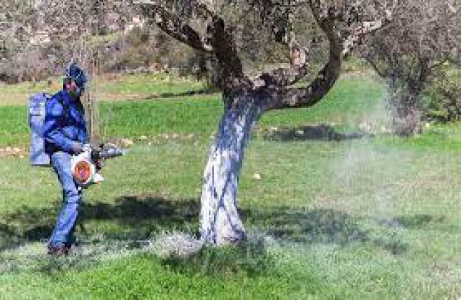 &Pi;&rho;ό&gamma;&rho;&alpha;&mu;&mu;&alpha; &delta;&alpha;&kappa;&omicron;&kappa;&tau;&omicron;&nu;ί&alpha;&sigmaf; &sigma;&tau;&eta;&nu; &Pi;&Epsilon; &Alpha;&rho;&kappa;&alpha;&delta;ί&alpha;&sigmaf; &alpha;&pi;ό 22 έ&omega;&sigmaf; 23 &Alpha;&upsilon;&gamma;&omicron;ύ&sigma;&tau;&omicron;&upsilon;
