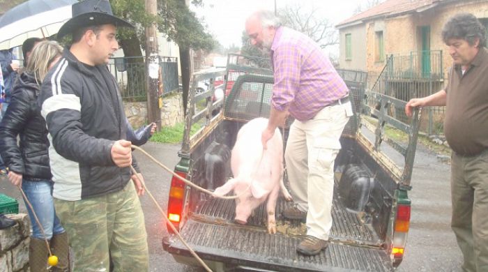 &Pi;&alpha;&rho;&alpha;&delta;&omicron;&sigma;&iota;&alpha;&kappa;ά &chi;&omicron;&iota;&rho;&omicron;&sigma;&phi;ά&gamma;&iota;&alpha; &mu;&epsilon; &pi;ί&pi;&iota;&zeta;&epsilon;&sigmaf; &kappa;&alpha;&iota; &nu;&tau;&alpha;&omicron;ύ&lambda;&iota;&alpha; &sigma;&tau;&eta; &Beta;&lambda;&alpha;&chi;έ&rho;&nu;&alpha;!