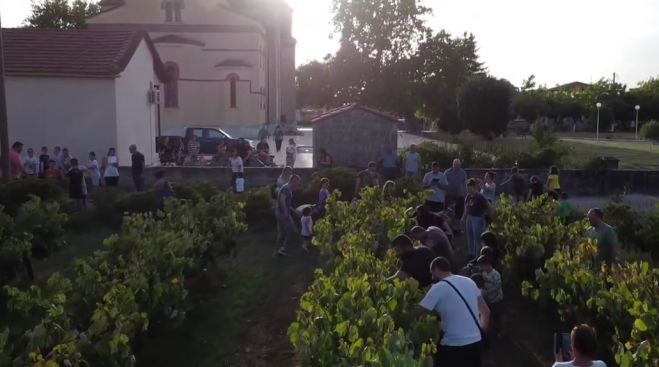 &Mu;ά&zeta;&epsilon;&psi;&alpha;&nu; &kappa;&alpha;&iota; &pi;ά&tau;&eta;&sigma;&alpha;&nu; &sigma;&tau;&alpha;&phi;ύ&lambda;&iota;&alpha; &pi;&alpha;&iota;&delta;&iota;ά &sigma;&tau;&iota;&sigmaf; &Rho;ί&zeta;&epsilon;&sigmaf; &Tau;&epsilon;&gamma;έ&alpha;&sigmaf;! (vd)