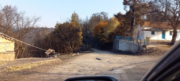 Νοιάζεται κανείς; Εκλιπαρούν για μία γεννήτρια στην Ελαία Γορτυνίας - Πάνω από 10 μέρες χωρίς ρεύμα