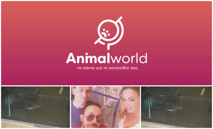 Νεογέννητος … καρχαρίας πωλείται στην Τρίπολη! (vd)