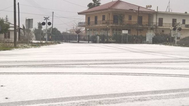 Στα λευκά η Ηλεία - Χιόνισε ακόμη και στον κάμπο! (εικόνες)