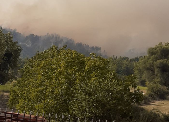 Γορτυνία | Άλλη μια μέρα χωρίς ρεύμα η Τρανή Λάκκα