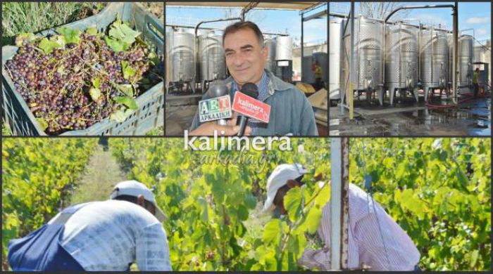 &Mu;&omicron;&sigma;&chi;&omicron;&phi;ί&lambda;&epsilon;&rho;&omicron; &Mu;&alpha;&nu;&tau;&iota;&nu;&epsilon;ί&alpha;&sigmaf;: &Mu;&epsilon;&iota;&omega;&mu;έ&nu;&eta; &pi;&alpha;&rho;ά&gamma;&omega;&gamma;&eta; - ά&rho;&iota;&sigma;&tau;&eta; &pi;&omicron;&iota;ό&tau;&eta;&tau;&alpha;! (vd)