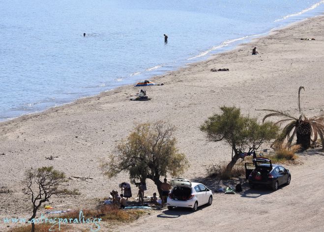 Παράλιο Άστρος | Οι ... τολμηροί συνεχίζουν τις βουτιές στη θάλασσα! (vd)