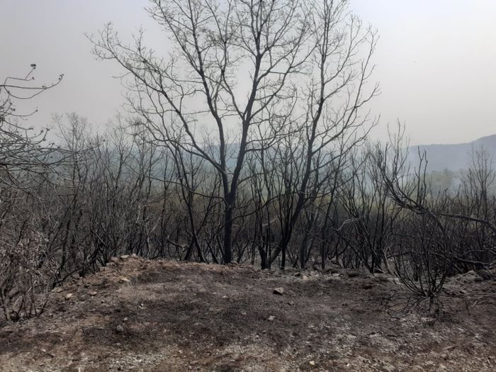 1ος Κυνηγετικός Σύλλογος Τρίπολης | Παροχή βοήθειας στους πυρόπληκτους της Μεγαλόπολης και της Γορτυνίας