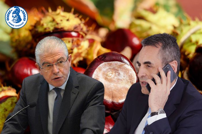 &Epsilon;&pi;&iota;&kappa;&omicron;&iota;&nu;&omega;&nu;ί&alpha; &Tau;&zeta;&iota;&omicron;ύ&mu;&eta; - &Lambda;&upsilon;&kappa;&omicron;&upsilon;&rho;έ&nu;&tau;&zeta;&omicron;&upsilon; &gamma;&iota;&alpha; &tau;&iota;&sigmaf; &alpha;&pi;&omicron;&zeta;&eta;&mu;&iota;ώ&sigma;&epsilon;&iota;&sigmaf; &sigma;&epsilon; &kappa;&alpha;&sigma;&tau;&alpha;&nu;&omicron;&pi;&alpha;&rho;&alpha;&gamma;&omega;&gamma;&omicron;ύ&sigmaf; &tau;&omicron;&upsilon; &Delta;ή&mu;&omicron;&upsilon; &Tau;&rho;ί&pi;&omicron;&lambda;&eta;&sigmaf;