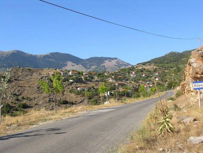 &Mu;&epsilon;&lambda;έ&tau;&eta; &epsilon;&gamma;&kappa;&alpha;&tau;ά&sigma;&tau;&alpha;&sigma;&eta;&sigmaf; &delta;&iota;&kappa;&tau;ύ&omicron;&upsilon; ά&rho;&delta;&epsilon;&upsilon;&sigma;&eta;&sigmaf; &sigma;&tau;&eta;&nu; &pi;&epsilon;&rho;&iota;&omicron;&chi;ή &Kappa;ώ&micro;&eta;