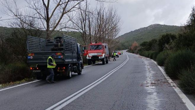 &Pi;&tau;ώ&sigma;&epsilon;&iota;&sigmaf; &delta;έ&nu;&delta;&rho;&omega;&nu; &sigma;&tau;&eta;&nu; &pi;&alpha;&lambda;&alpha;&iota;ά &epsilon;&theta;&nu;&iota;&kappa;ή &omicron;&delta;ό "&Tau;&rho;ί&pi;&omicron;&lambda;&eta;&sigmaf; - &Sigma;&pi;ά&rho;&tau;&eta;&sigmaf;"