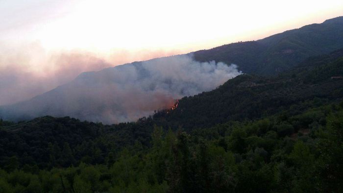 Καλά νέα | Υπό έλεγχο η μεγάλη πυρκαγιά στη Γορτυνία!