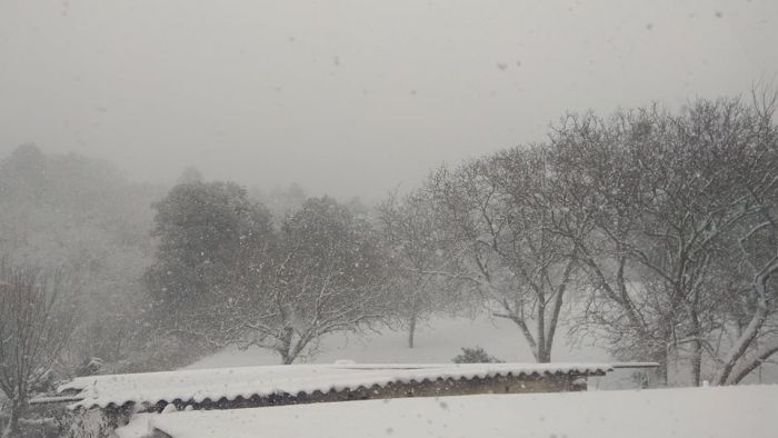 &Eta; &chi;&iota;&omicron;&nu;&iota;&sigma;&mu;έ&nu;&eta; &Beta;&lambda;&alpha;&chi;&omicron;&kappa;&epsilon;&rho;&alpha;&sigma;&iota;ά (&epsilon;&iota;&kappa;ό&nu;&epsilon;&sigmaf;)!