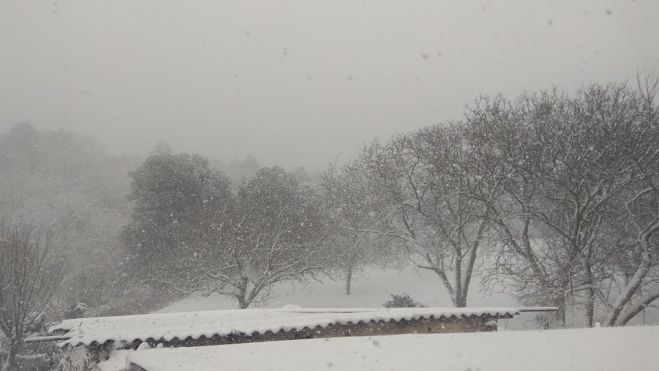 &Eta; &chi;&iota;&omicron;&nu;&iota;&sigma;&mu;έ&nu;&eta; &Beta;&lambda;&alpha;&chi;&omicron;&kappa;&epsilon;&rho;&alpha;&sigma;&iota;ά (&epsilon;&iota;&kappa;ό&nu;&epsilon;&sigmaf;)!