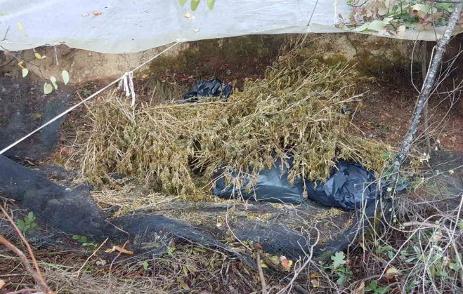 &Pi;ά&nu;&omega; &alpha;&pi;ό 10 &kappa;&iota;&lambda;ά &kappa;ά&nu;&nu;&alpha;&beta;&eta;&sigmaf; &sigma;&tau;&eta;&nu; &Kappa;&omicron;&rho;&iota;&nu;&theta;ί&alpha;!