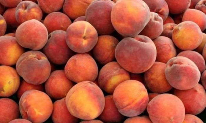 Ροδάκινα σε τρίτεκνες οικογένειες της Τρίπολης