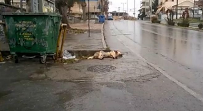 &Phi;&iota;&lambda;ό&zeta;&omega;&omicron;&iota;: 3.000 &euro; &gamma;&iota;&alpha; &tau;&omicron;&nu; &epsilon;&nu;&tau;&omicron;&pi;&iota;&sigma;&mu;ό &tau;&omicron;&upsilon; &delta;&rho;ά&sigma;&tau;&eta; &pi;&omicron;&upsilon; έ&rho;&iota;&xi;&epsilon; &phi;ό&lambda;&epsilon;&sigmaf; &sigma;&tau;&eta;&nu; &Kappa;ά&rho;&tau;&sigma;&omicron;&beta;&alpha;!