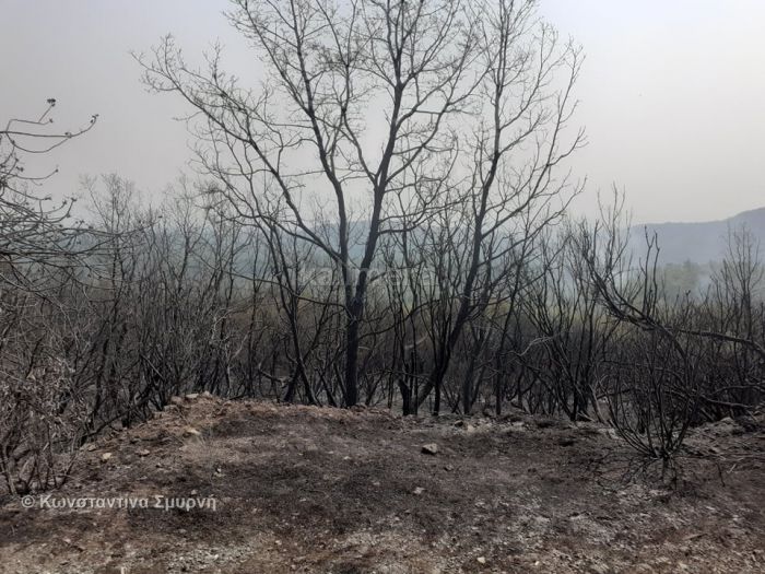 &Pi;&epsilon;&rho;&iota;&phi;έ&rho;&epsilon;&iota;&alpha; &gamma;&iota;&alpha; &tau;&iota;&sigmaf; &zeta;&eta;&mu;&iota;έ&sigmaf; &alpha;&pi;ό &tau;&iota;&sigmaf; &pi;&upsilon;&rho;&kappa;&alpha;&gamma;&iota;έ&sigmaf;: "&Mu;ό&nu;&omicron; &gamma;&iota;&alpha; &tau;&omicron;&nu; &Delta;ή&mu;&omicron; &Mu;&epsilon;&gamma;&alpha;&lambda;ό&pi;&omicron;&lambda;&eta;&sigmaf; &theta;&alpha; &chi;&rho;&epsilon;&iota;&alpha;&sigma;&tau;&omicron;ύ&nu; 5.500.000 &epsilon;&upsilon;&rho;ώ"