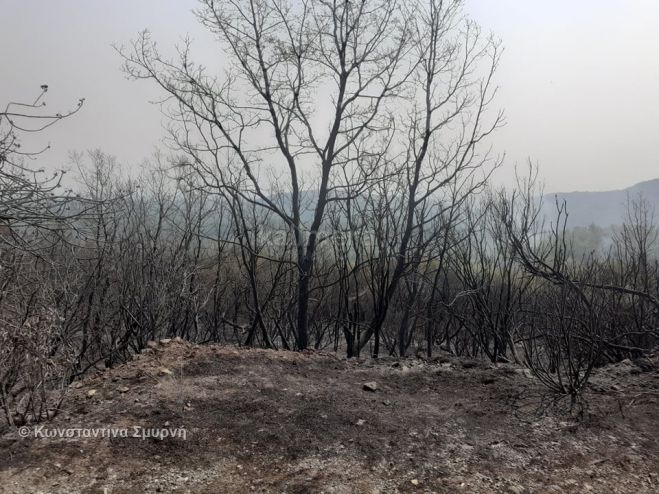&Pi;&epsilon;&rho;&iota;&phi;έ&rho;&epsilon;&iota;&alpha; &gamma;&iota;&alpha; &tau;&iota;&sigmaf; &zeta;&eta;&mu;&iota;έ&sigmaf; &alpha;&pi;ό &tau;&iota;&sigmaf; &pi;&upsilon;&rho;&kappa;&alpha;&gamma;&iota;έ&sigmaf;: "&Mu;ό&nu;&omicron; &gamma;&iota;&alpha; &tau;&omicron;&nu; &Delta;ή&mu;&omicron; &Mu;&epsilon;&gamma;&alpha;&lambda;ό&pi;&omicron;&lambda;&eta;&sigmaf; &theta;&alpha; &chi;&rho;&epsilon;&iota;&alpha;&sigma;&tau;&omicron;ύ&nu; 5.500.000 &epsilon;&upsilon;&rho;ώ"