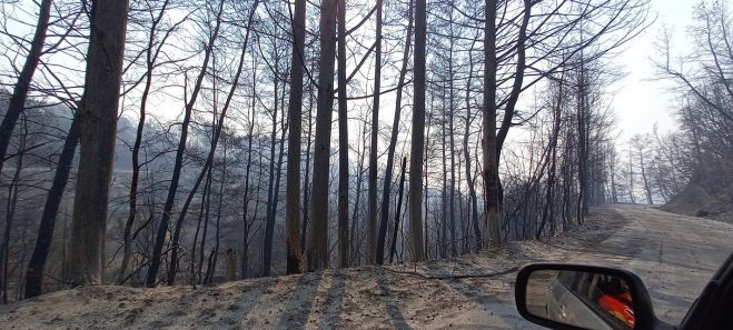 &Pi;&upsilon;&rho;ό&pi;&lambda;&eta;&kappa;&tau;&eta; &Alpha;&rho;&kappa;&alpha;&delta;ί&alpha; | Ά&mu;&epsilon;&sigma;&alpha; &theta;&alpha; &delta;&omicron;&theta;&omicron;ύ&nu; &omicron;&iota; &pi;&rho;ώ&tau;&epsilon;&sigmaf; &alpha;&pi;&omicron;&zeta;&eta;&mu;&iota;ώ&sigma;&epsilon;&iota;&sigmaf; &lambda;έ&epsilon;&iota; &eta; &Kappa;&upsilon;&beta;έ&rho;&nu;&eta;&sigma;&eta;