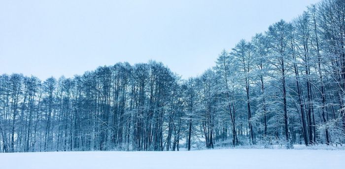 &Tau;&iota; &kappa;&alpha;&iota;&rho;ό &theta;&alpha; &kappa;ά&nu;&epsilon;&iota; &tau;&alpha; &Chi;&rho;&iota;&sigma;&tau;&omicron;ύ&gamma;&epsilon;&nu;&nu;&alpha; &ndash; &Pi;ό&tau;&epsilon; έ&rho;&chi;&omicron;&nu;&tau;&alpha;&iota; &chi;&iota;ό&nu;&iota;&alpha;;