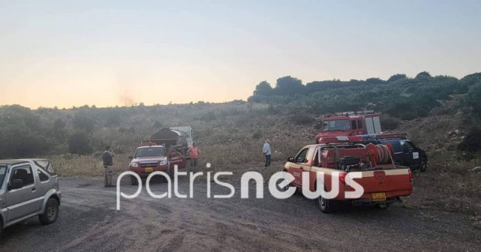 Υπό μερικό έλεγχο η φωτιά σε δάσος στο Φανάρι Ανδρίτσαινας | Οι φλόγες ήταν ορατές και από την Αρκαδία!