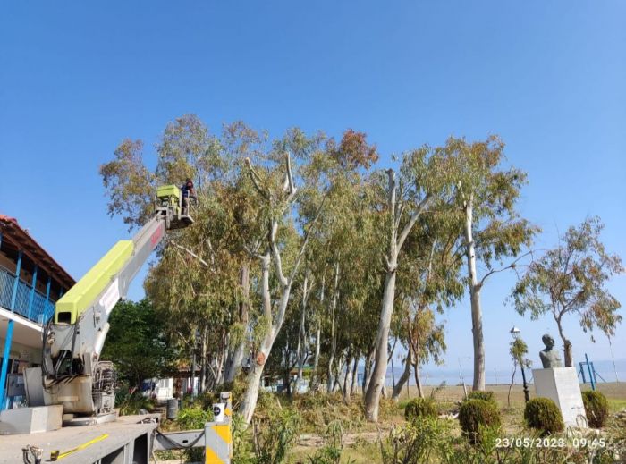 &Alpha;&nu;&tau;&iota;&delta;ή&mu;&alpha;&rho;&chi;&omicron;&sigmaf; &Lambda;&alpha;&gamma;ό&sigmaf;: "Ό&lambda;&alpha; έ&tau;&omicron;&iota;&mu;&alpha; &gamma;&iota;&alpha; &nu;&alpha; &xi;&epsilon;&kappa;&iota;&nu;ή&sigma;&omicron;&upsilon;&nu; &omicron;&iota; &kappa;&alpha;&tau;&alpha;&sigma;&kappa;&eta;&nu;ώ&sigma;&epsilon;&iota;&sigmaf; &tau;&omicron;&upsilon; &Delta;ή&mu;&omicron;&upsilon; &Tau;&rho;ί&pi;&omicron;&lambda;&eta;&sigmaf; &sigma;&tau;&omicron; &Pi;&alpha;&rho;ά&lambda;&iota;&omicron; Ά&sigma;&tau;&rho;&omicron;&sigmaf;" (&epsilon;&iota;&kappa;ό&nu;&epsilon;&sigmaf;)