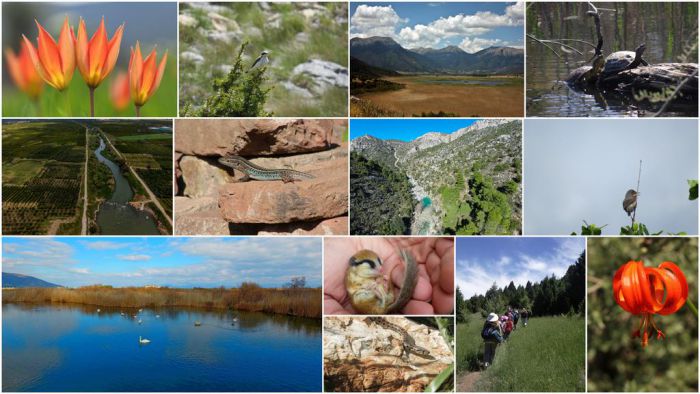 &Epsilon;&upsilon;&rho;&omega;&pi;&alpha;ϊ&kappa;ή &Eta;&mu;έ&rho;&alpha; Natura 2000 | &Eta; &lambda;ί&sigma;&tau;&alpha; &mu;&epsilon; &tau;&iota;&sigmaf; &pi;&rho;&omicron;&sigma;&tau;&alpha;&tau;&epsilon;&upsilon;ό&mu;&epsilon;&nu;&epsilon;&sigmaf; &pi;&epsilon;&rho;&iota;&omicron;&chi;έ&sigmaf; &sigma;&tau;&eta;&nu; &Alpha;&rho;&kappa;&alpha;&delta;ί&alpha;