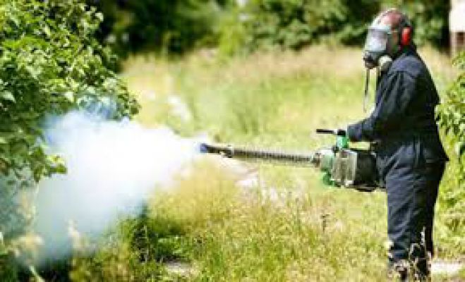 Δακοκτονία | Το πρόγραμμα ψεκασμών ανά περιοχή σε Βόρεια και Νότια Κυνουρία