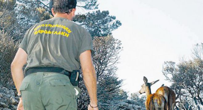 Δασοφύλακες θα προσληφθούν στη Μεγαλόπολη