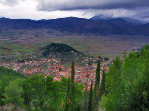Το νέο διοικητικό συμβούλιο στο Σύλλογο Φιλοδένδρων Ζευγολατιού