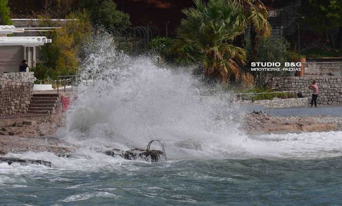 &Mu;&alpha;&nu;&iota;&alpha;&sigma;&mu;έ&nu;&omicron;&iota; &nu;&omicron;&tau;&iota;ά&delta;&epsilon;&sigmaf; &sigma;&tau;&eta;&nu; &Alpha;&rho;&gamma;&omicron;&lambda;ί&delta;&alpha;! (&epsilon;&iota;&kappa;ό&nu;&epsilon;&sigmaf;)