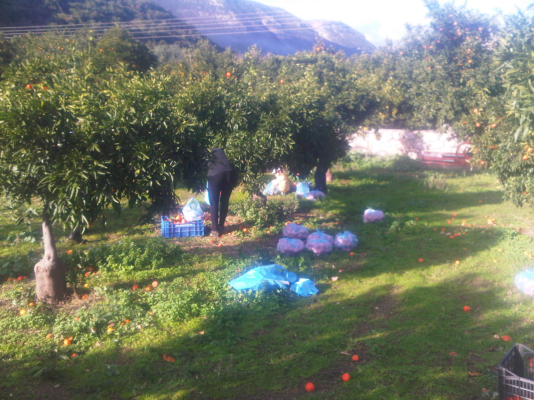 &Pi;&epsilon;&nu;&tau;&alpha;&kappa;ό&sigma;&iota;&alpha; &kappa;&iota;&lambda;ά &mu;&alpha;&nu;&tau;&alpha;&rho;ί&nu;&iota;&alpha; &kappa;&alpha;&iota; &pi;&omicron;&rho;&tau;&omicron;&kappa;ά&lambda;&iota;&alpha; &mu;ά&zeta;&epsilon;&psi;&epsilon; &eta; &Mu;&eta;&tau;&rho;ό&pi;&omicron;&lambda;&eta; &sigma;&tau;&omicron; &Lambda;&epsilon;&omega;&nu;ί&delta;&iota;&omicron; (&epsilon;&iota;&kappa;ό&nu;&epsilon;&sigmaf;)