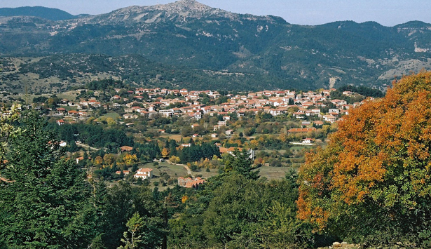 Φεστιβάλ μελιού και προϊόντων μέλισσας στη Βυτίνα