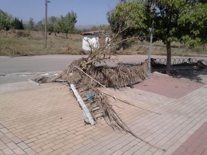 Μεγάλες καταστροφές στην Γαρέα Τεγέας (vd)