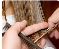 &Delta;&iota;&alpha;&phi;&omega;&nu;&omicron;ύ&nu; &omicron;&iota; &kappa;&omicron;&upsilon;&rho;&epsilon;ί&sigmaf; &kappa;&alpha;&iota; &kappa;&omicron;&mu;&mu;&omega;&tau;έ&sigmaf; &mu;&epsilon; &tau;&eta;&nu; &lambda;&epsilon;&iota;&tau;&omicron;&upsilon;&rho;&gamma;ί&alpha; &tau;&omega;&nu; &kappa;&alpha;&tau;&alpha;&sigma;&tau;&eta;&mu;ά&tau;&omega;&nu; &tau;&iota;&sigmaf; &Kappa;&upsilon;&rho;&iota;&alpha;&kappa;έ&sigmaf;