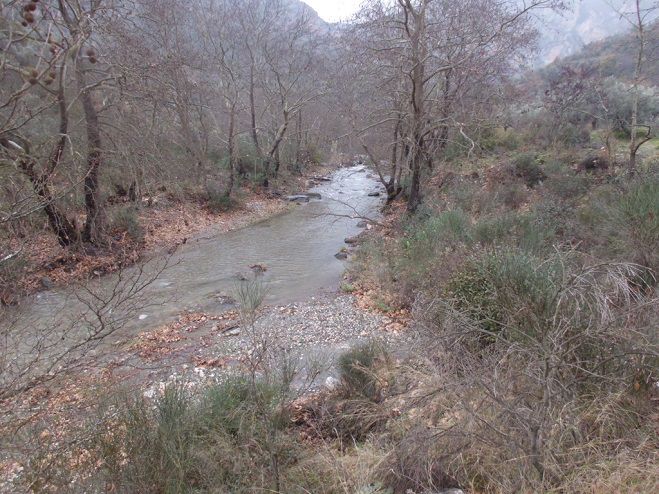 &Pi;&rho;&omega;&tau;&omicron;&mu;&alpha;&gamma;&iota;ά &sigma;&tau;&omicron;&nu; &Tau;ά&nu;&omicron;