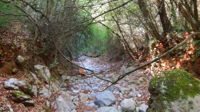 &Omicron; &Sigma;&Alpha;&Omicron;&Omicron; &sigma;&tau;&omicron; &epsilon;&nu;&tau;&upsilon;&pi;&omega;&sigma;&iota;&alpha;&kappa;ό &kappa;&alpha;&tau;&alpha;&pi;&rho;ά&sigma;&iota;&nu;&omicron; &phi;&alpha;&rho;ά&gamma;&gamma;&iota; &tau;&eta;&sigmaf; &Nu;&omicron;ύ&pi;&alpha;&nu;&tau;&eta;&sigmaf;