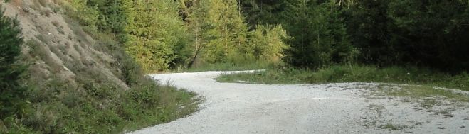 Διαγωνισμός για τη «Βελτίωση της δασικής οδού στις περιοχές Βασκίνας και Πραστού»