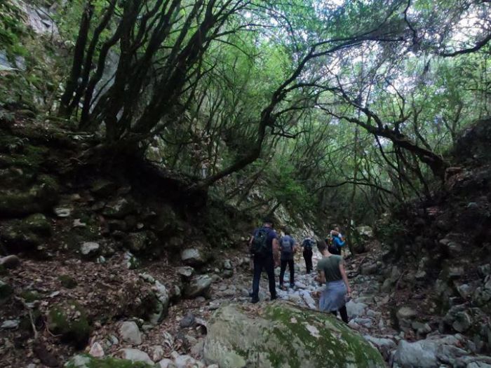 Στο Φαράγγι Νούπαντης ο ΣΑΟΟ (εικόνες)